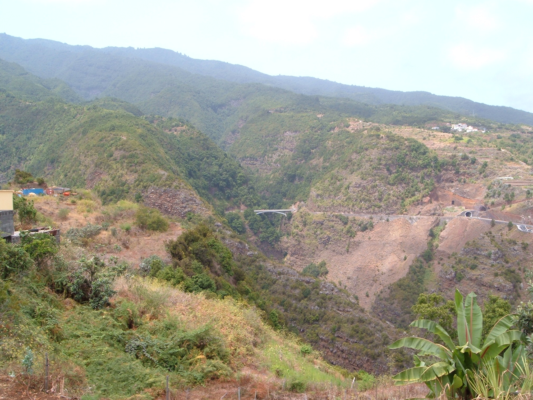 Barranco de La Galga, en Puntallana